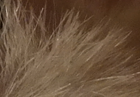 Samsung NX300: spousta kroků vpřed, jeden vzad