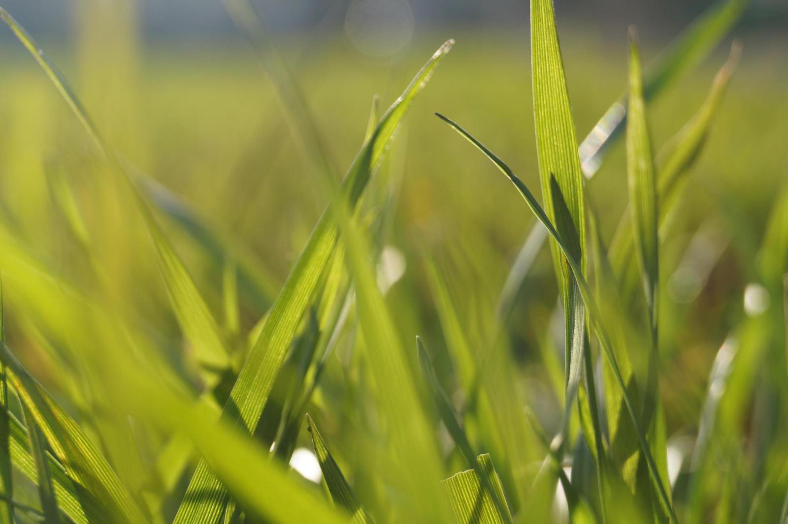 Sony SLT-A58: silný základ