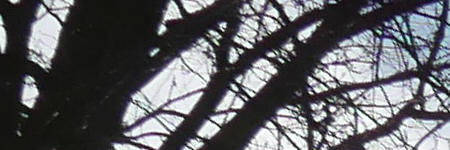 Panasonic Lumix LX100: pozoruhodný profi kompakt