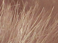 Casio EXILIM ZR100: kapesní formule