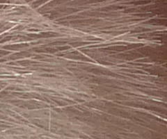 Panasonic Lumix LX3: nejtajnější přání vyslyšena