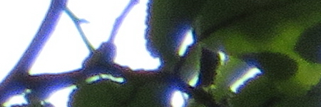 Canon PowerShot SX720 HS: kapesní šmírování