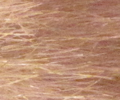 Canon PowerShot G10: stále mezi nejlepšími