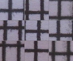 Canon PowerShot G11: géčko, o jakém jsme snili