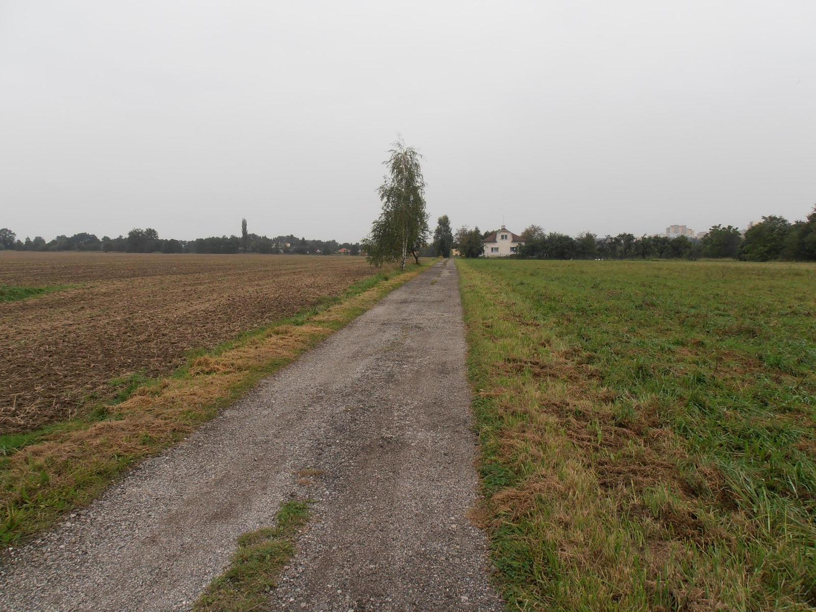 Olympus VR-310 a VR-320: jaké je tajemství úspěchu?