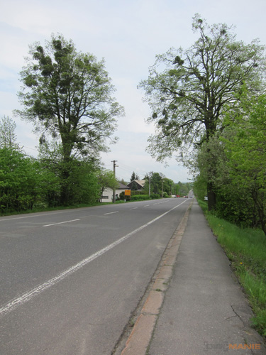 Canon PowerShot S90: malý zázrak