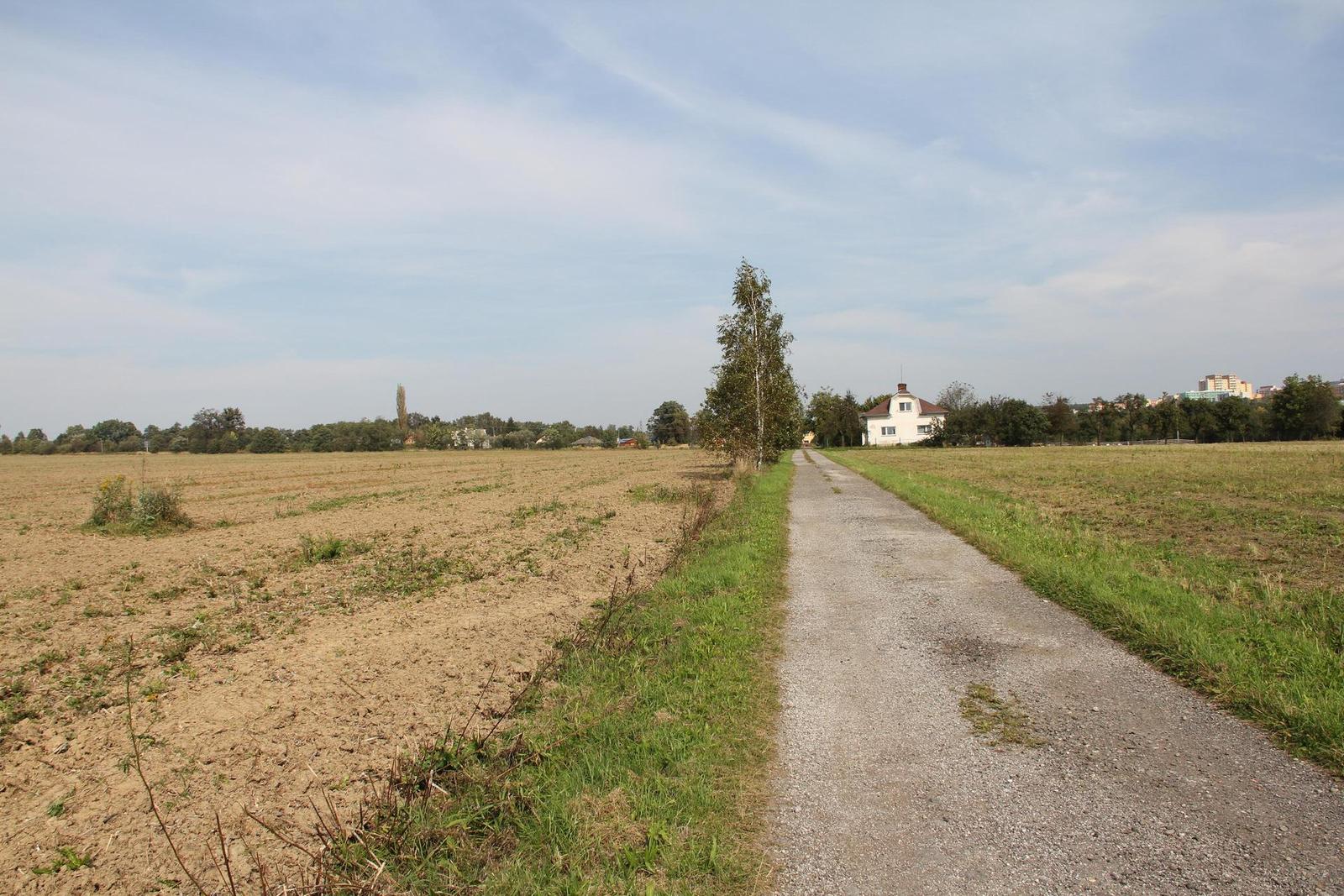 Canon EOS 550D: třídní premiant