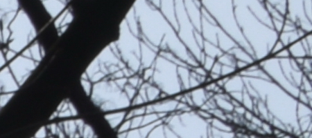 Nikon AF-S DX NIKKOR 35mm f/1.8G