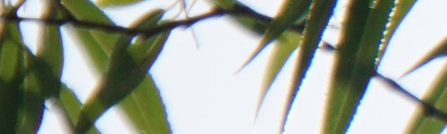 Sony E 55-210mm F4.5-6.3 OSS (SEL55210)