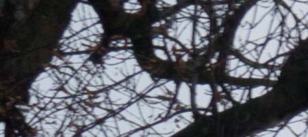 Sony DT 18-55mm 3.5-5.6 SAM II (SAL-1855-2)