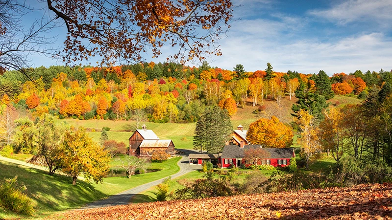 Vesnička v USA zakázala vjezd autům kvůli náletům bezohledných influencerů