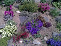 Nokia N80 - jak fotí 3megapixelový fotomobil?