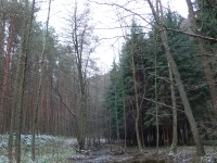 Panasonic Lumix DMC-LX1: 16:9 čip v premiéře