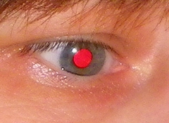 Pentax X70: neobyčejně univerzální kliďas