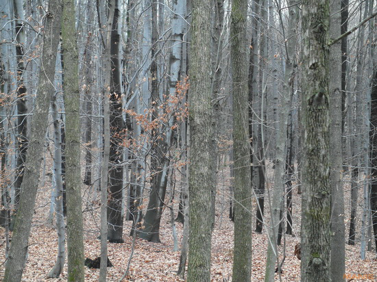 Samsung EX2F: významný krok vpřed