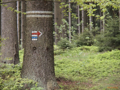 Olympus PEN E-PL2: PEN počtvrté a zase lépe