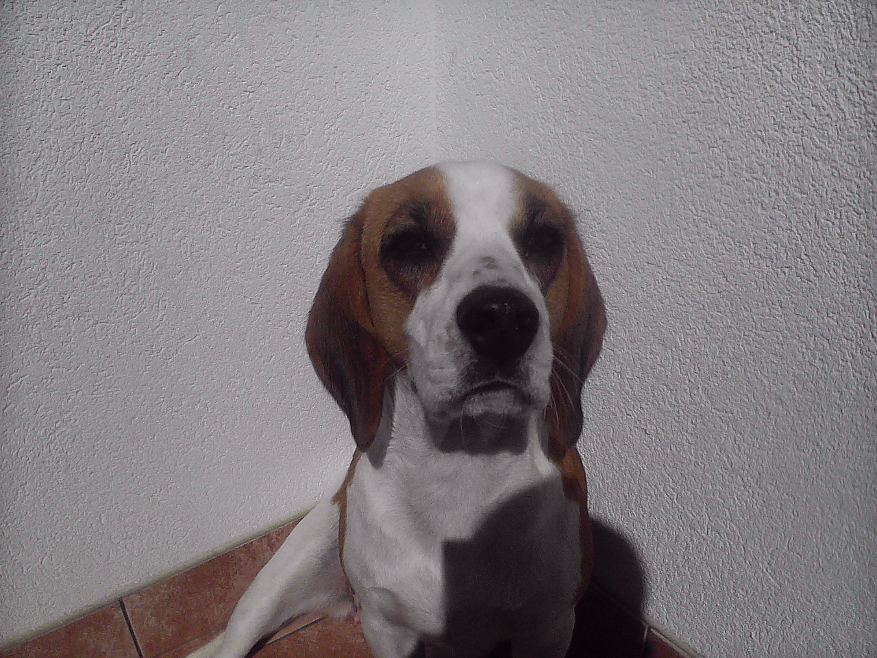 m:robe MR-500i: umí i fotit