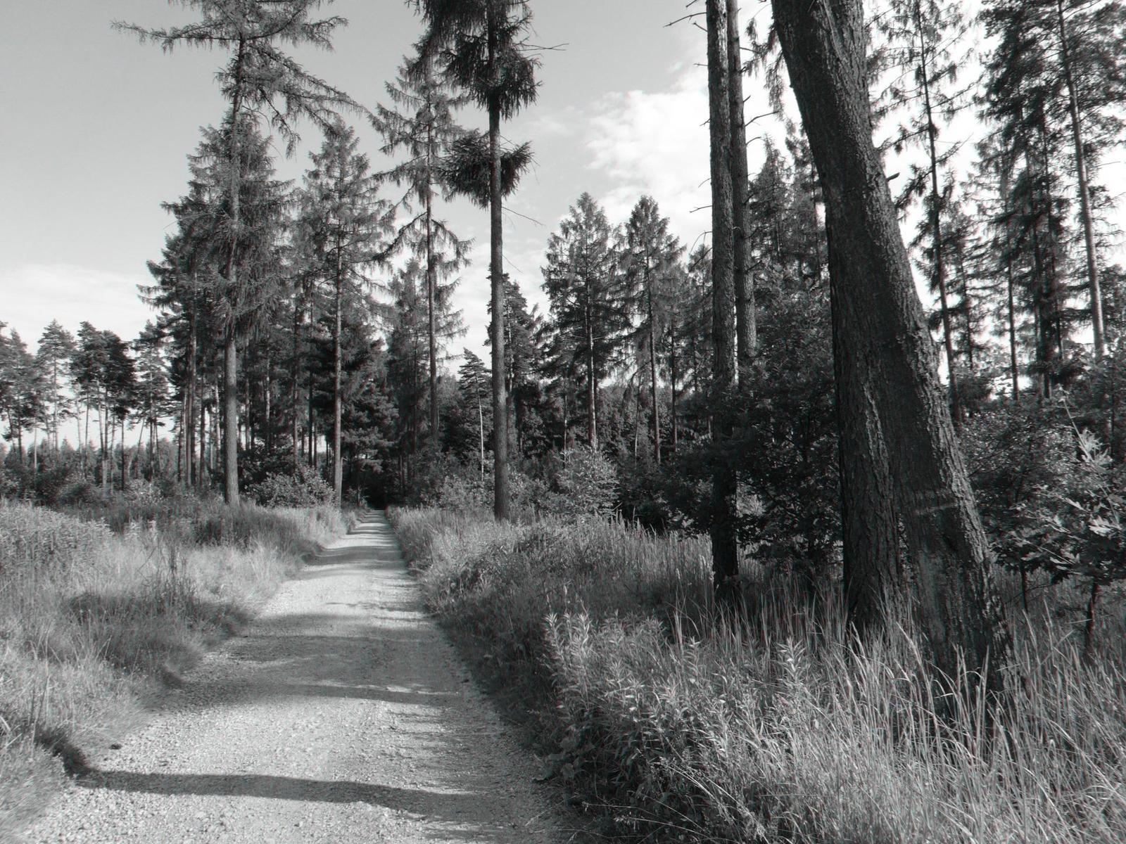 Sony Cyber-shot WX300: nejmenší dvacítka