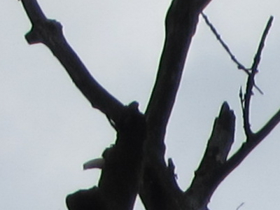 Canon PowerShot S90: malý zázrak