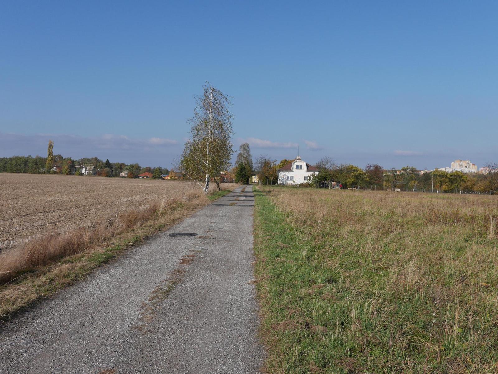 Panasonic Lumix G 20mm/F1.7 II ASPH.