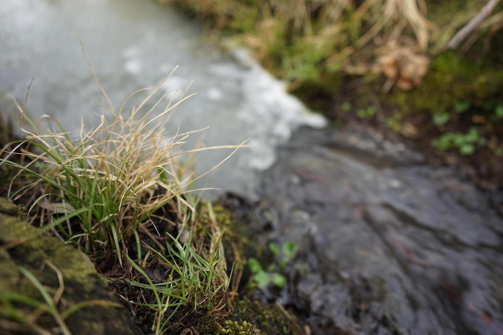 Sony FE 28-70mm F3.5-5.6 OSS (SEL2870)