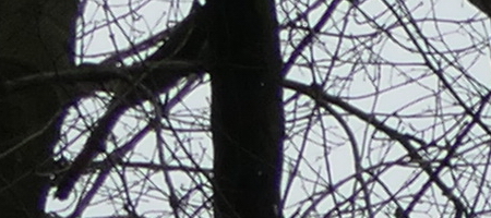 Panasonic Lumix FZ1000: legenda je zpátky