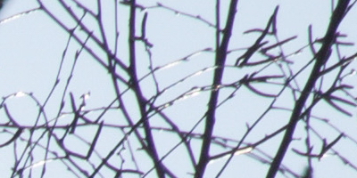 Nikon 1 NIKKOR 30-110mm 1:3,8-5,6 VR