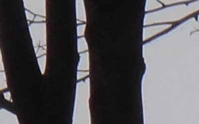 Sony Cyber-shot TX10: odolný zálesák