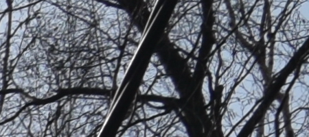 Nikon AF-S DX NIKKOR 16-85mm f/3.5-5.6G ED VR