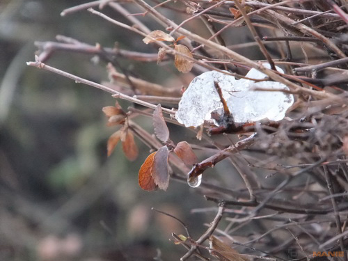 Fujifilm FinePix F300EXR: klame tělem