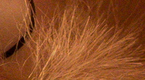 Canon PowerShot G1 X Mark II: významné zlepšení