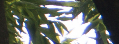 Tamron 16-300mm f/3.5-6.3 Di II VC PZD Macro