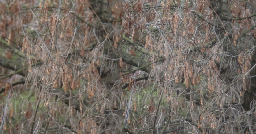 Srovnání 2 objektivů: profesionální Sigma vs. setový Canon