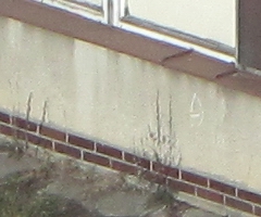 Canon PowerShot SX1 IS vs. SX10 IS: souboj CMOS a CCD