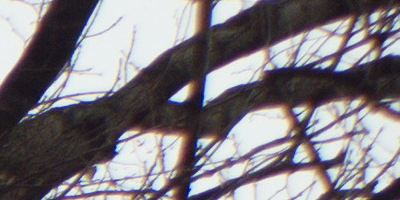 Samsung EX2F: významný krok vpřed