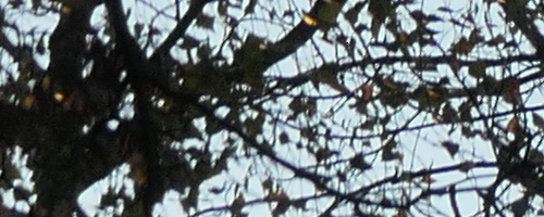 Panasonic Lumix TZ200: kamarád na cesty