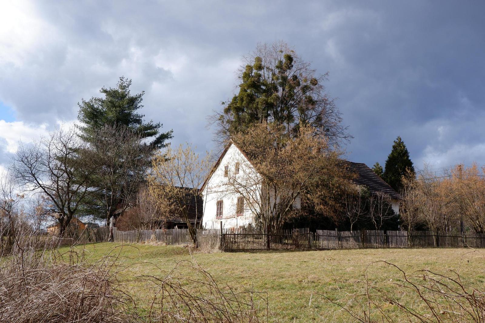 Fujifilm X-T100: postřehy z praxe