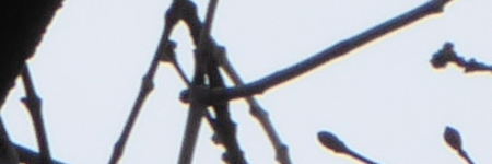 Panasonic Lumix TZ70: krůček k profi ultrazoomu