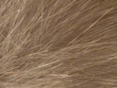 Nikon D3100: základ nabídky DSLR