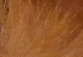 Panasonic Lumix LX7: kompaktní hvězda noci