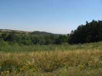 Canon PowerShot A540: Stříbrný šikula