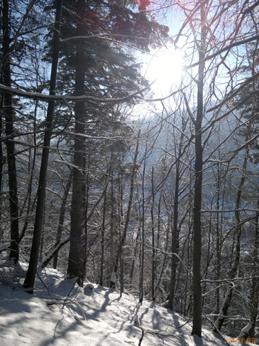 Nokia N8: lepší než kompakt?