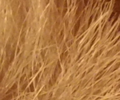 Samsung NX100: "zrcadlovka" do kapsy