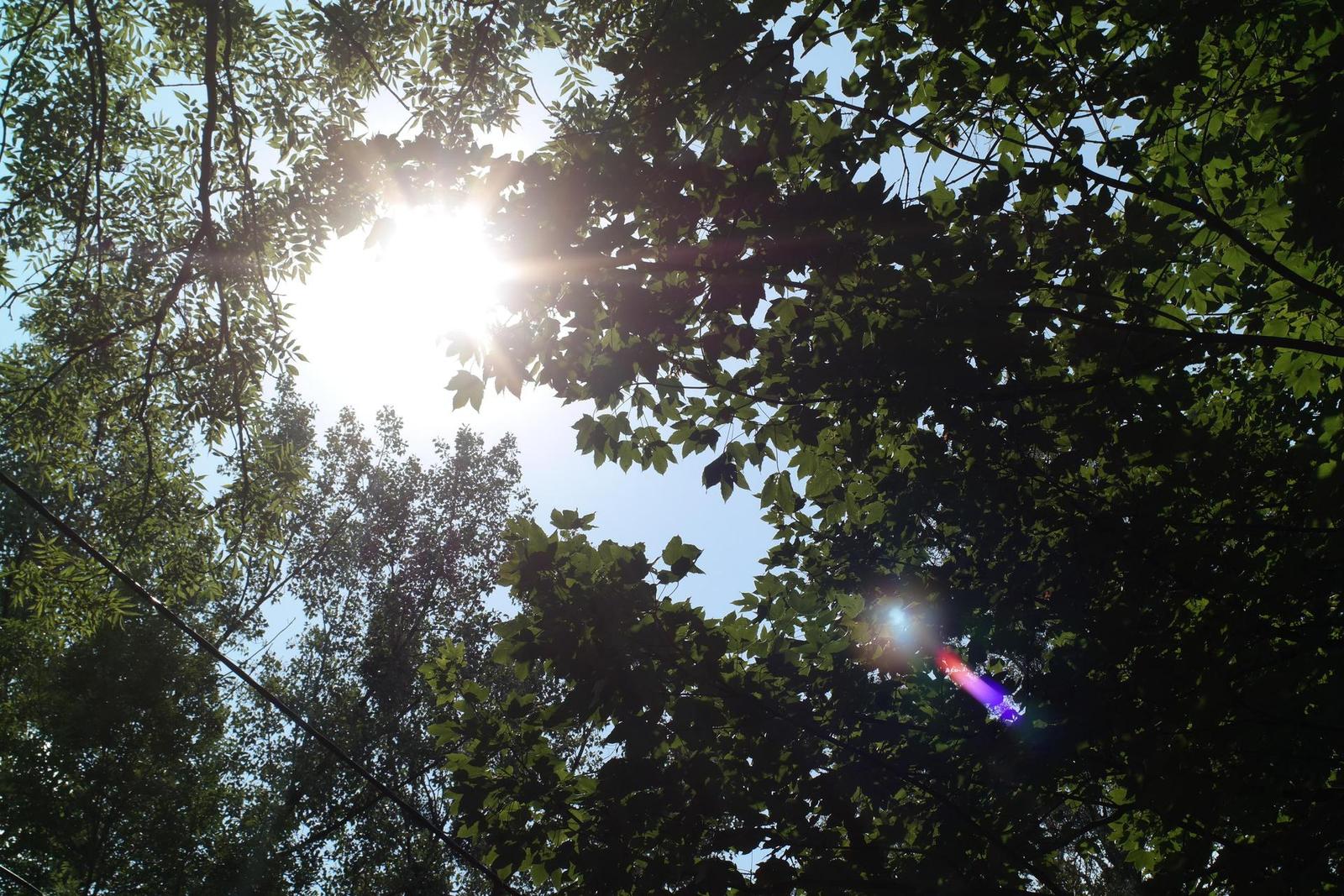 Olympus OM Zuiko 28mm f/2.8 (OM)