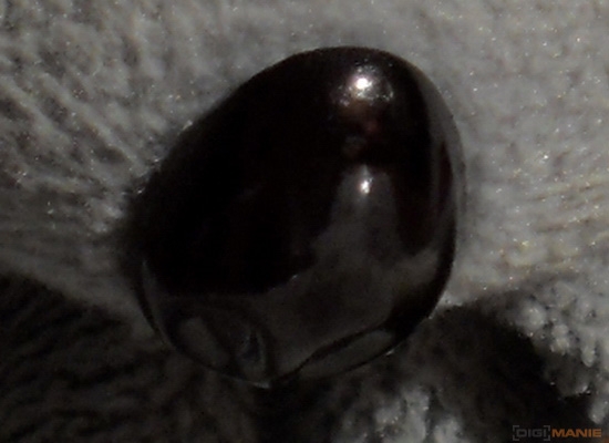 Fotíme s Koalou: Rozlišení a megapixely!