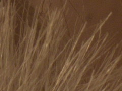 Canon EOS 600D: pokračování rodové linie