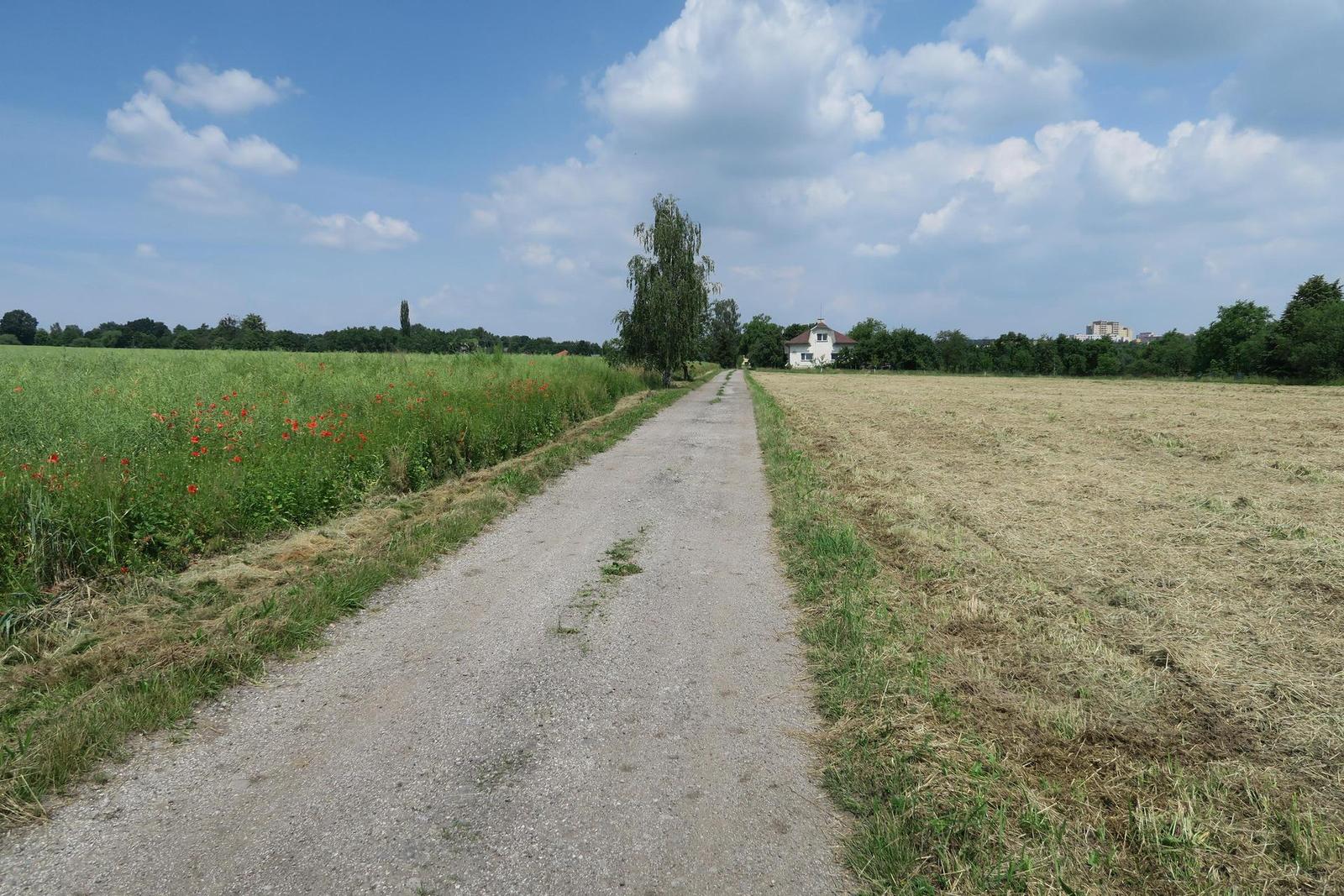 Canon PowerShot G7 X: opět skvělé géčko