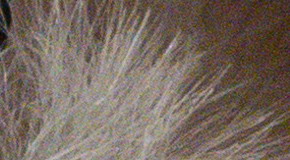 Sony Cyber-shot RX100 III (RX100M3): superSony