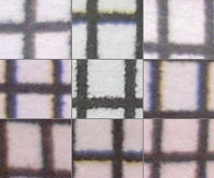 Nokia N8: lepší než kompakt?