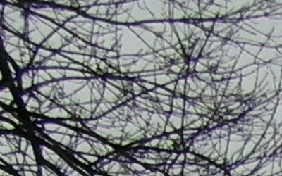 Samsung WB750: splnil očekávání?